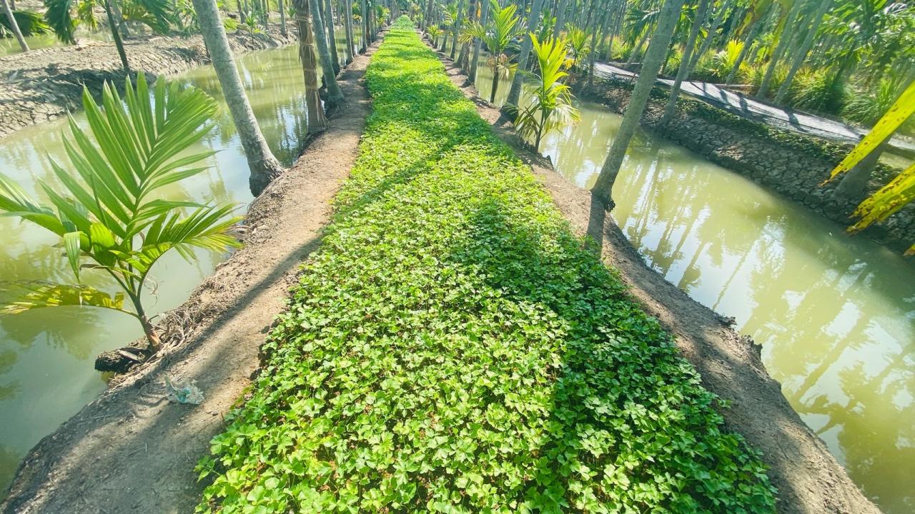 ภาพประกอบที่ 5