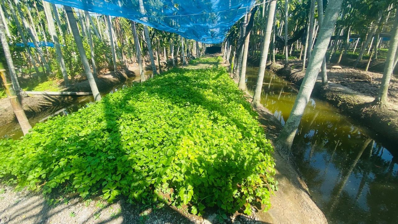 ภาพประกอบที่ 9