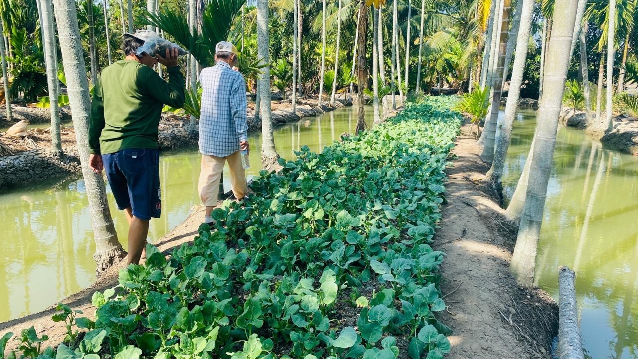 ภาพประกอบที่ 10