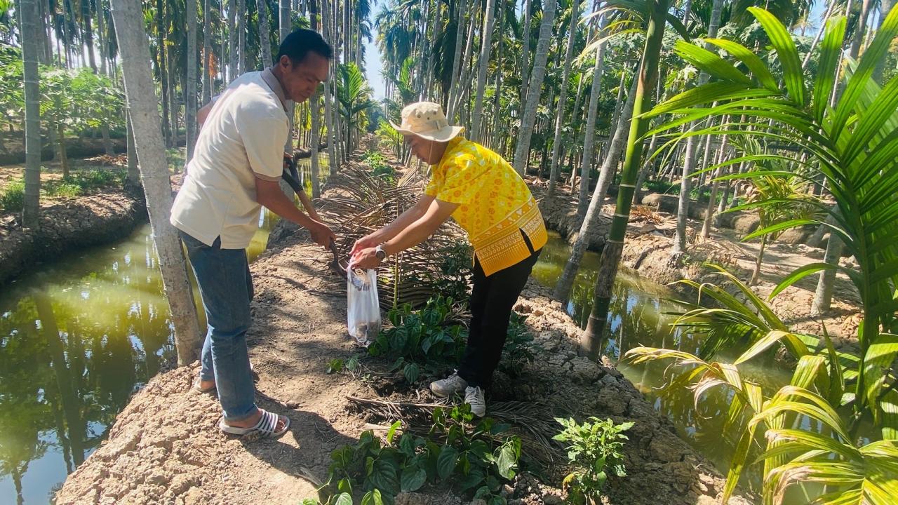 ภาพประกอบที่ 13