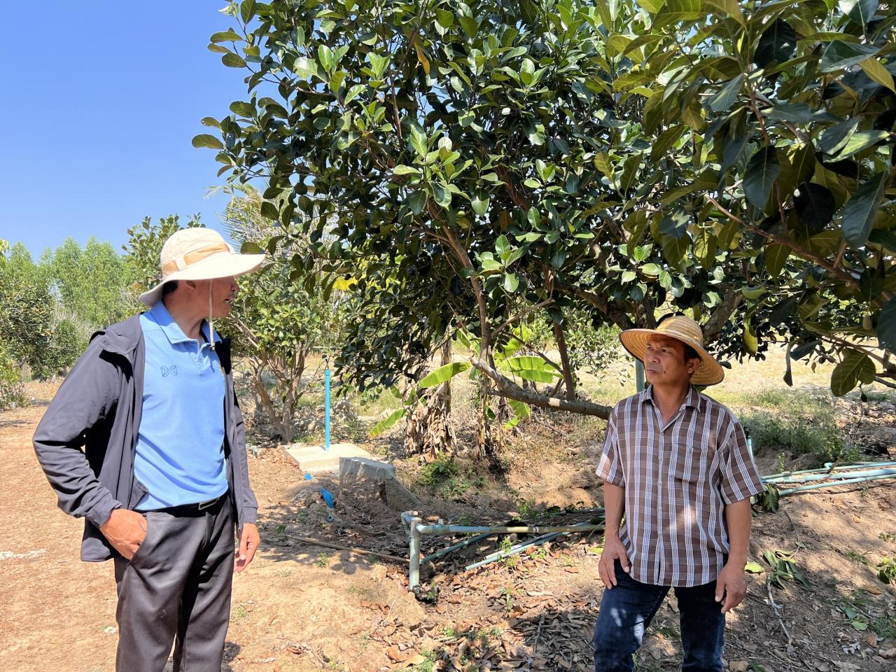 ภาพประกอบที่ 0