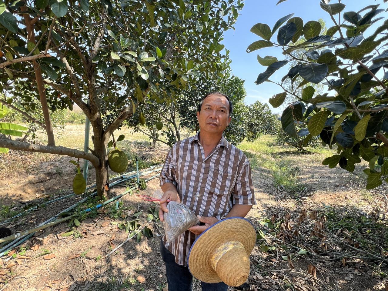 ภาพประกอบที่ 1