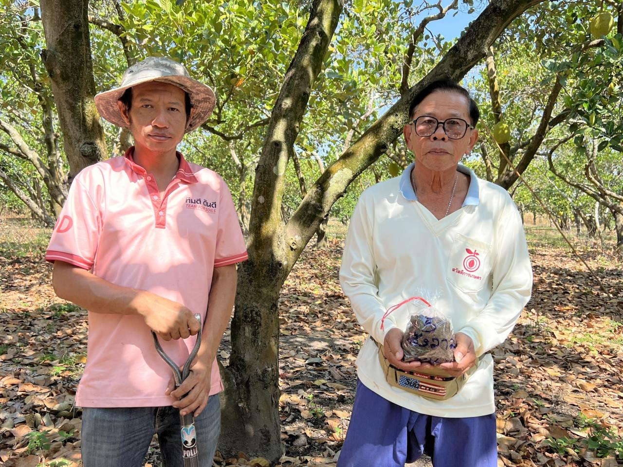 ภาพประกอบที่ 2