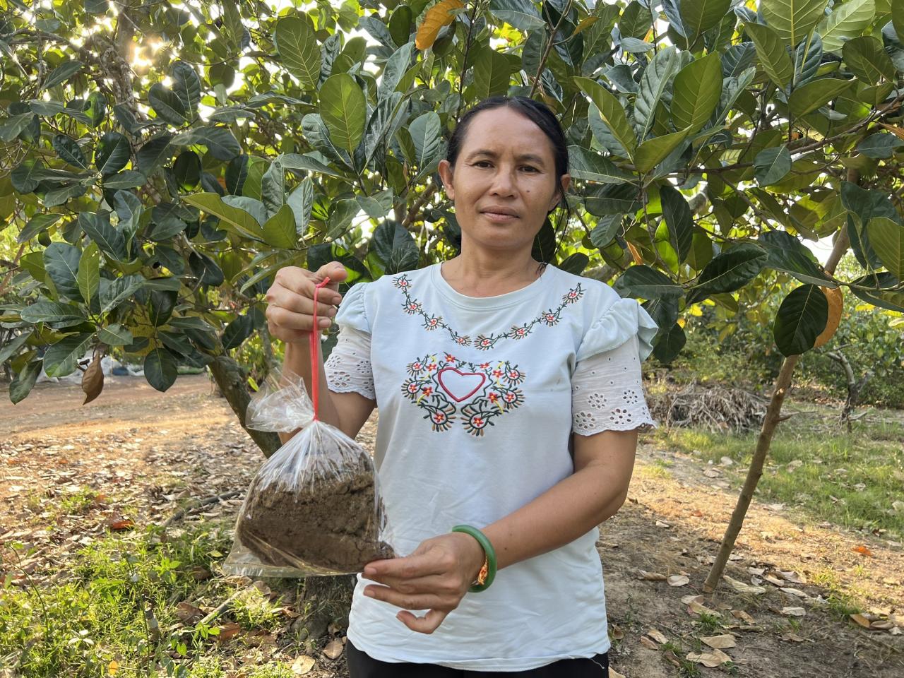 ภาพประกอบที่ 7