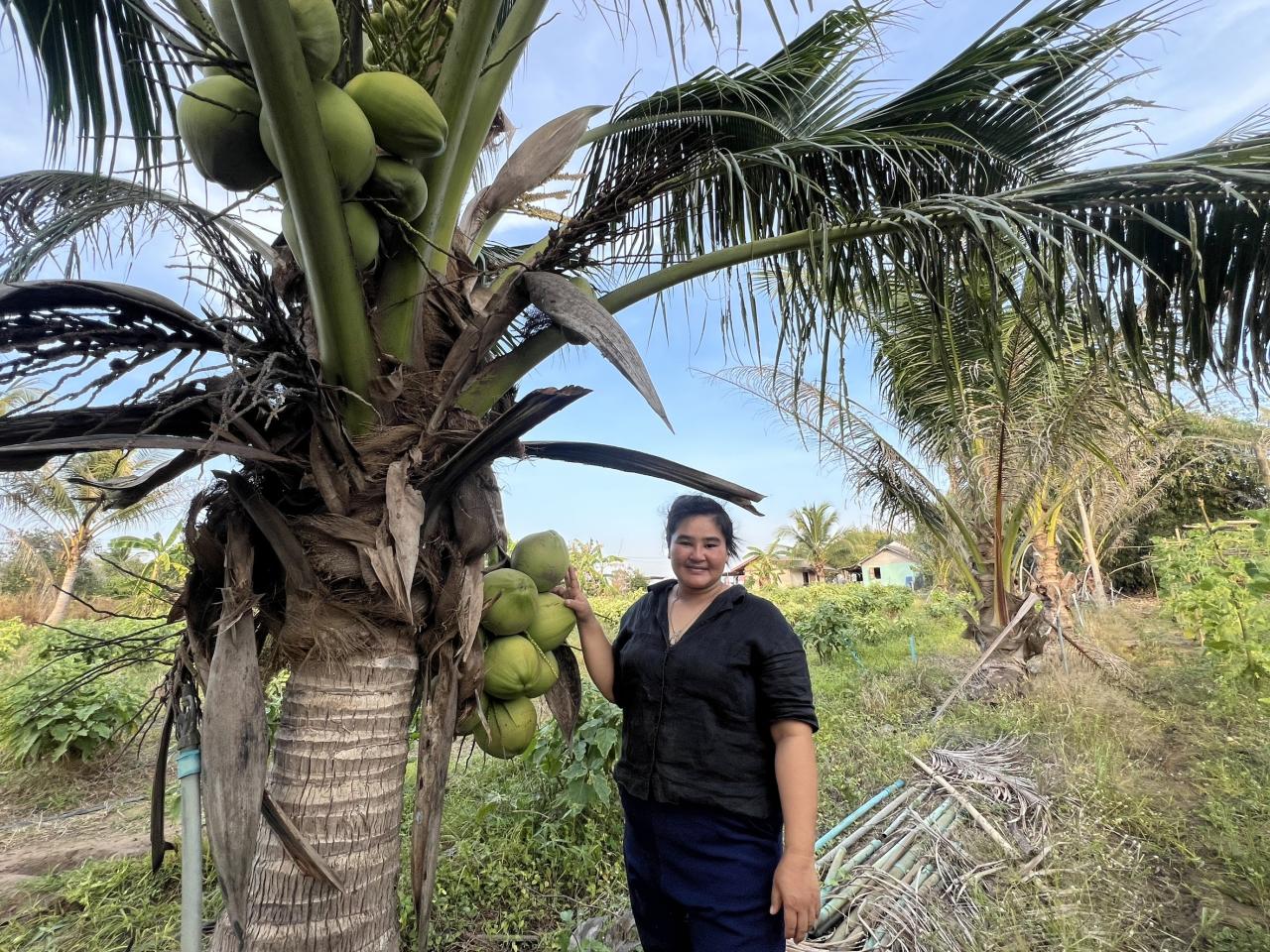 ภาพประกอบที่ 8