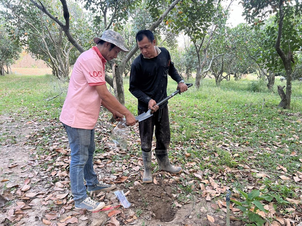ภาพประกอบที่ 11