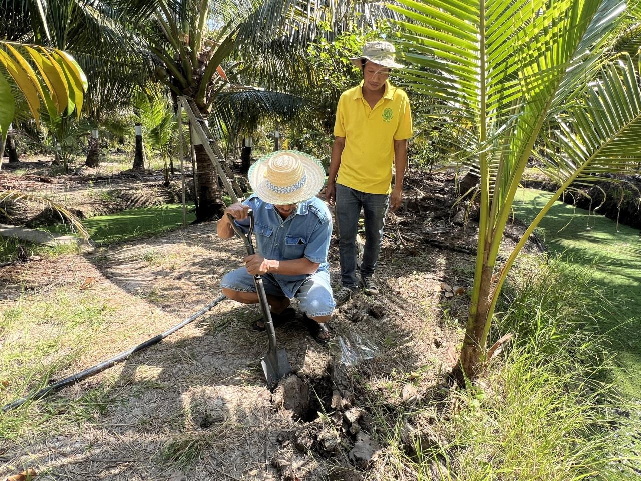 ภาพประกอบที่ 2
