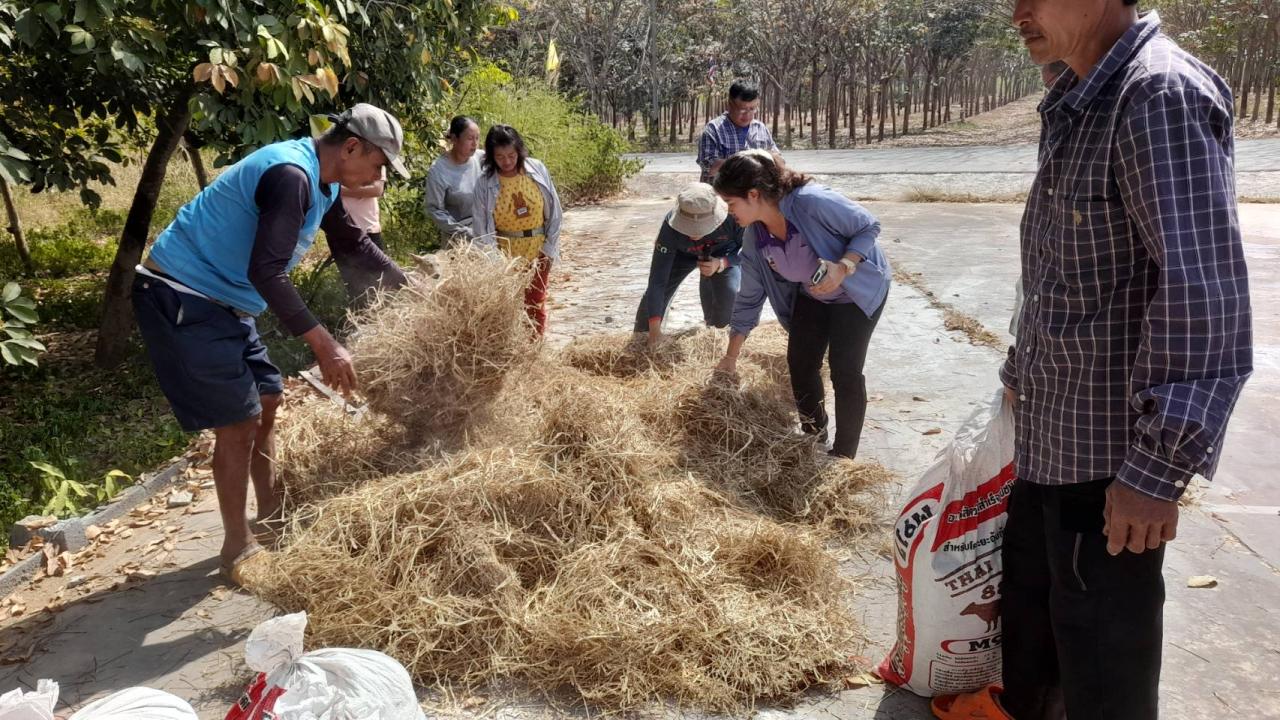 ภาพประกอบที่ 3