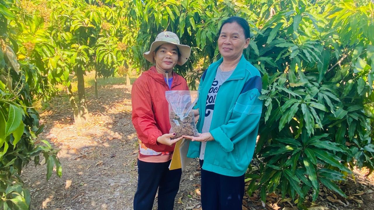 ภาพประกอบที่ 1