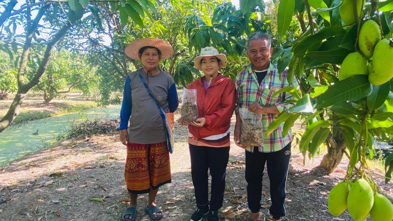 ภาพประกอบที่ 2