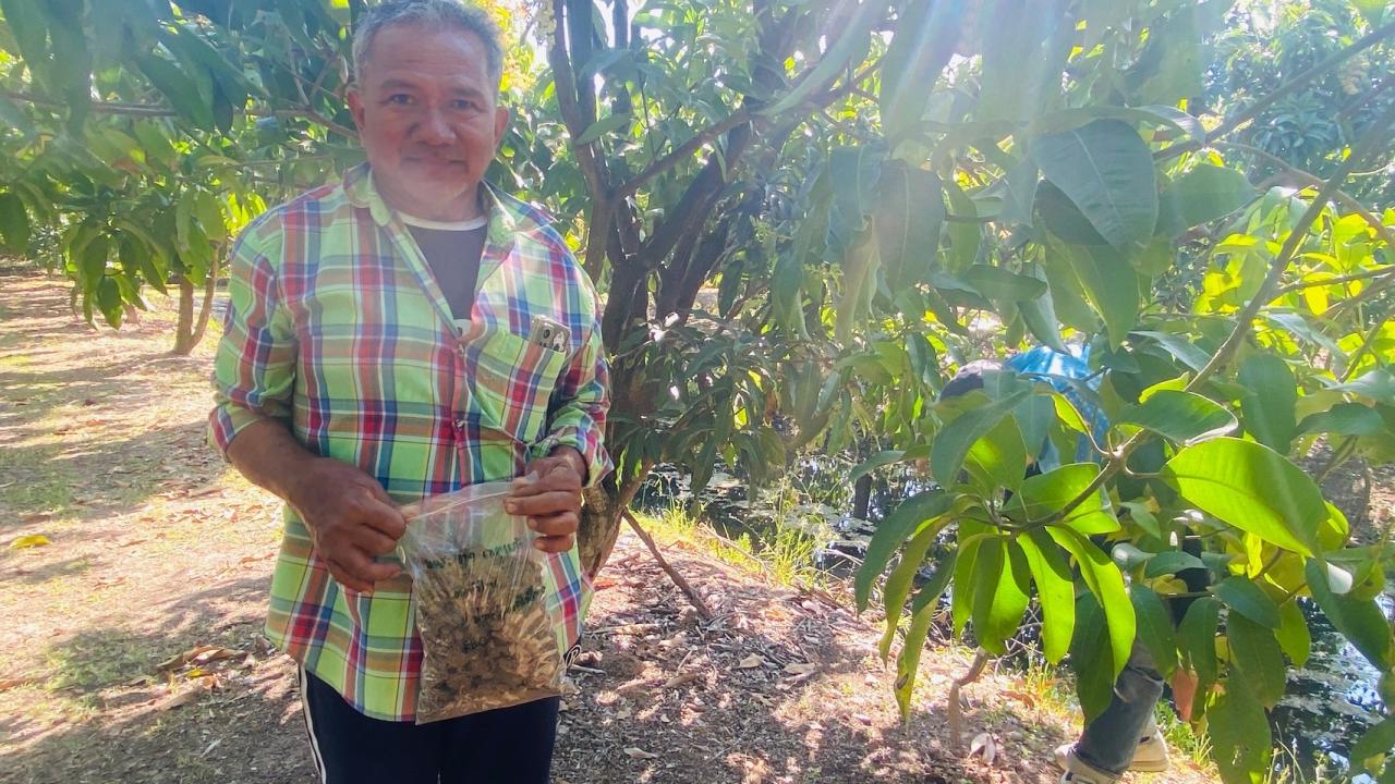 ภาพประกอบที่ 3