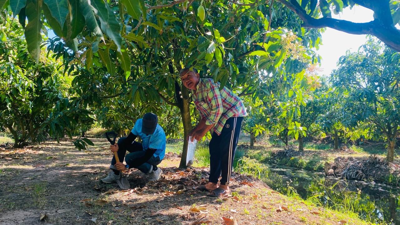 ภาพประกอบที่ 4