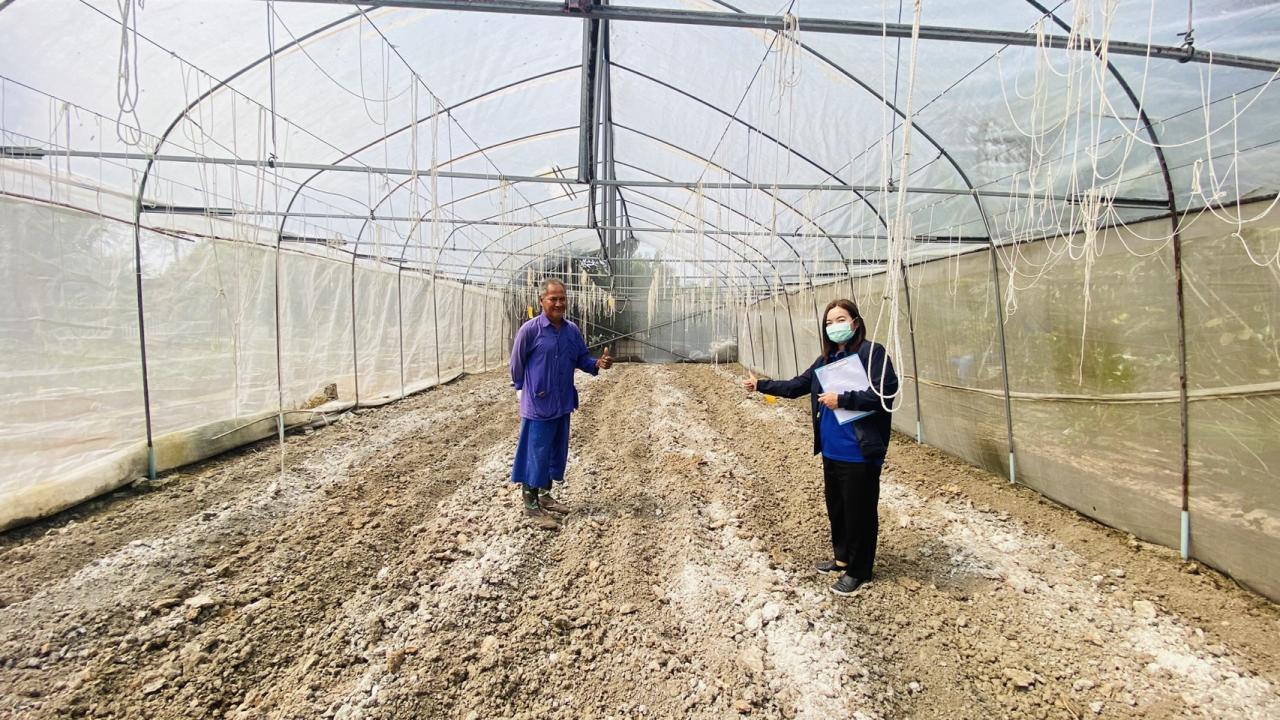 ภาพประกอบที่ 5