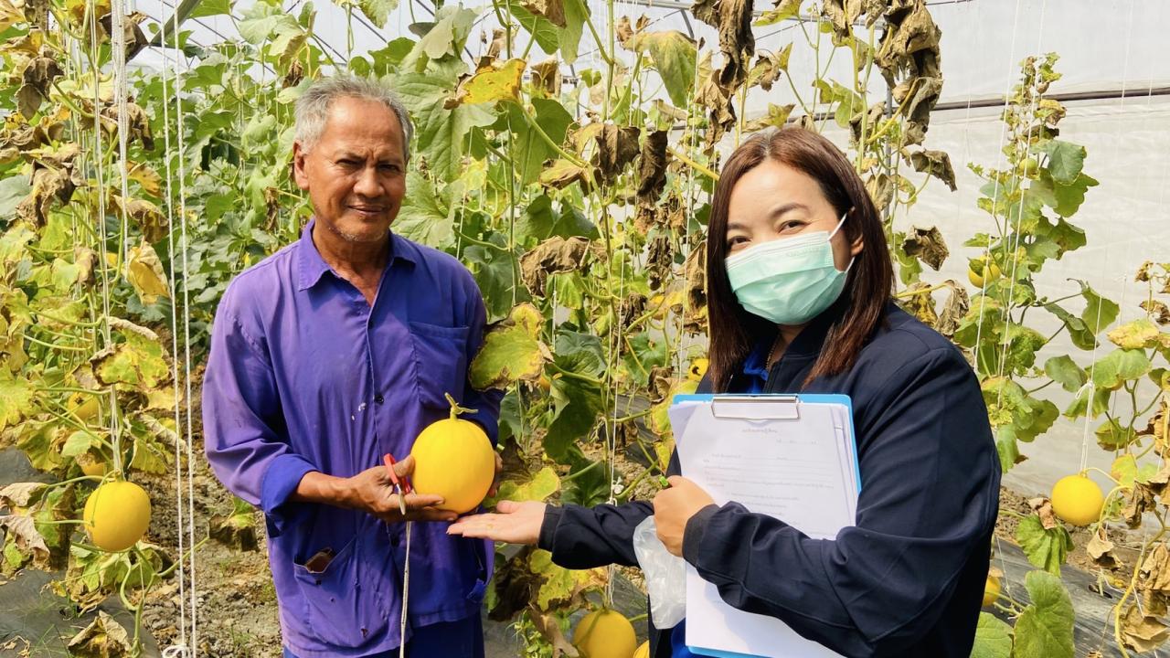 ภาพประกอบที่ 7