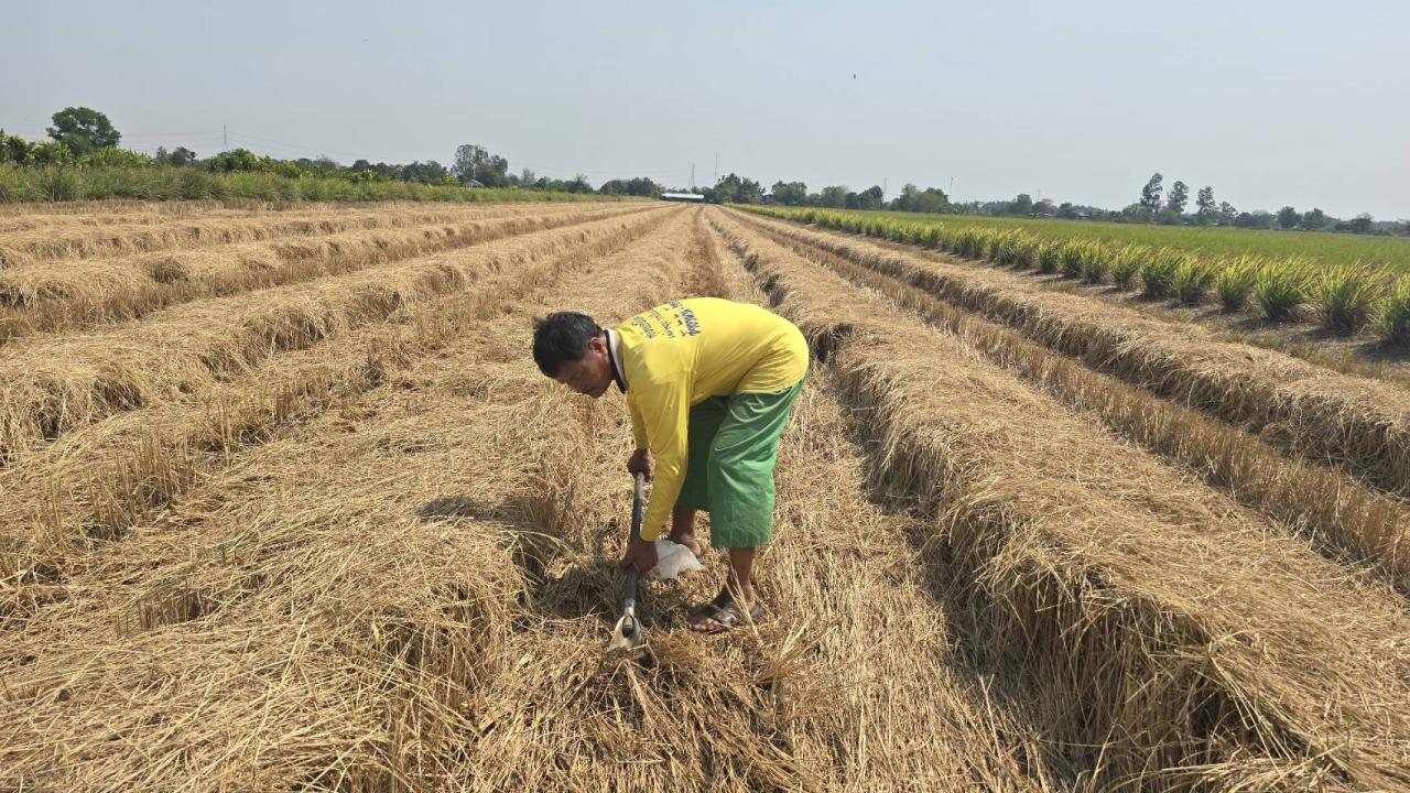 ภาพประกอบที่ 2