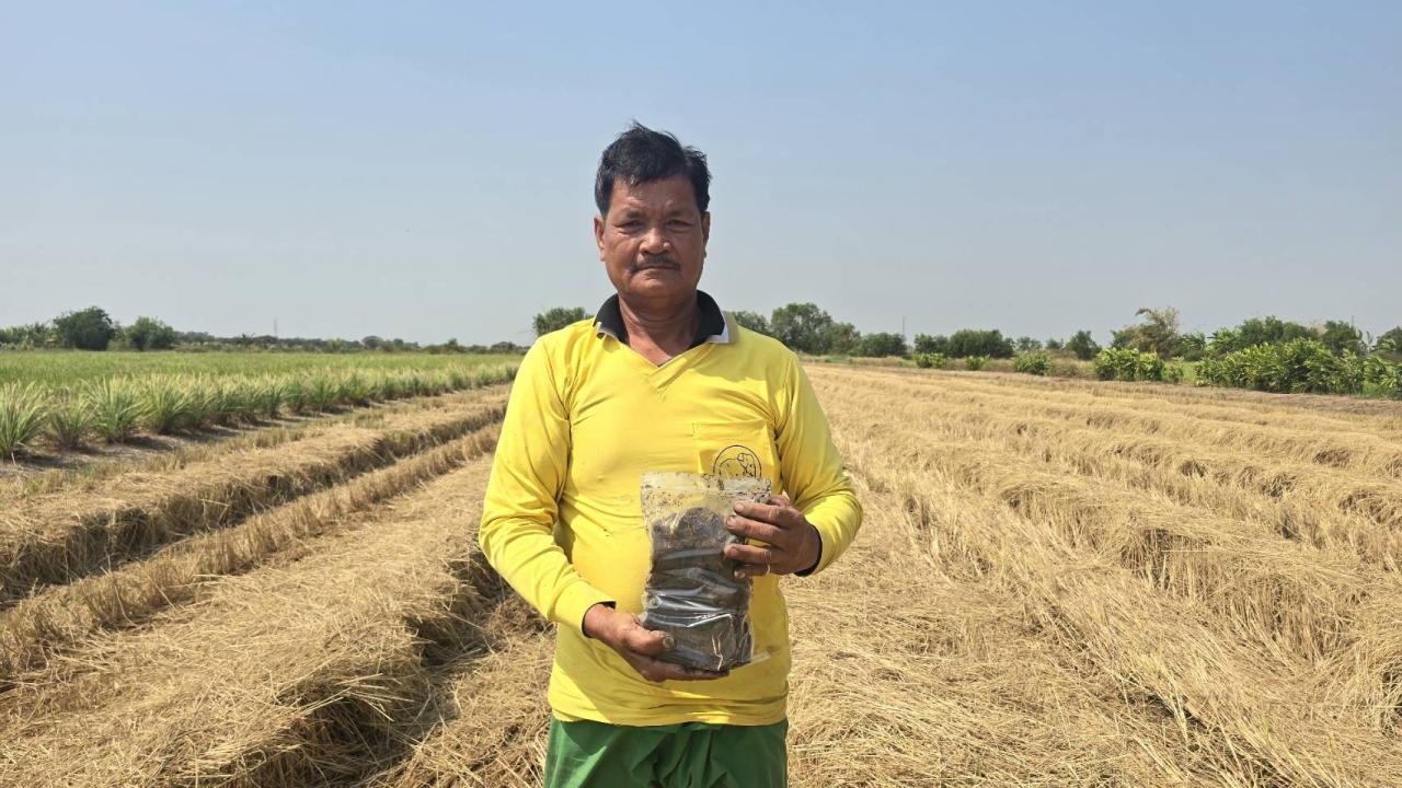 ภาพประกอบที่ 3