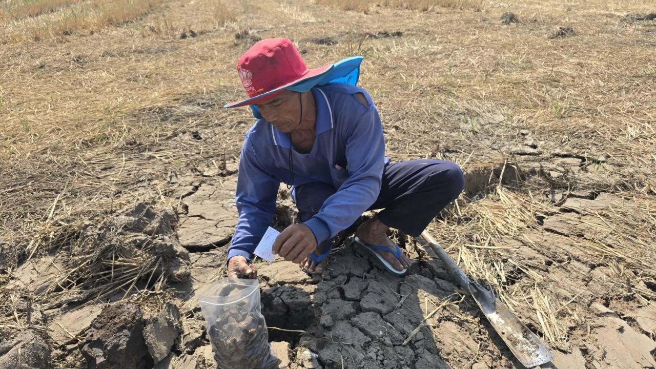 ภาพประกอบที่ 5