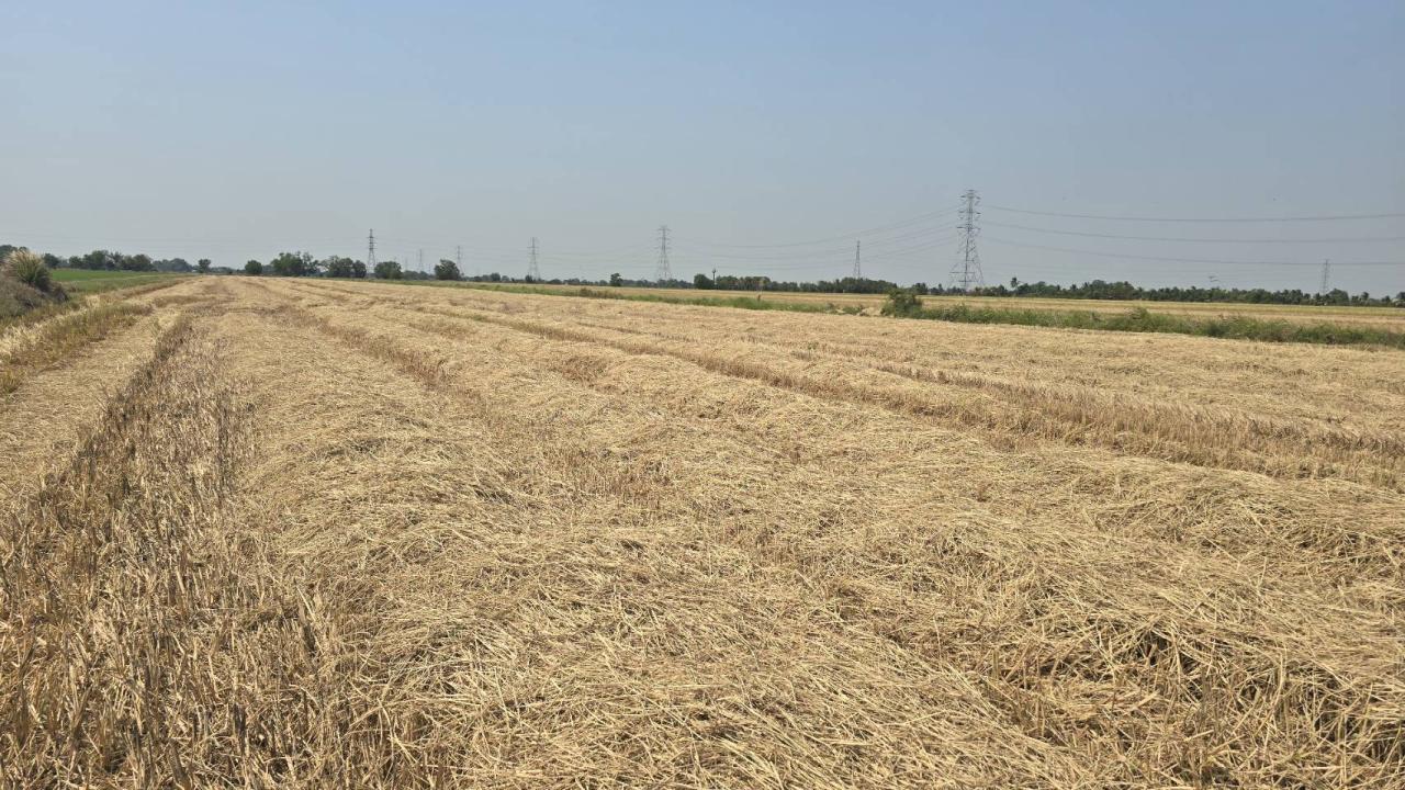 ภาพประกอบที่ 6