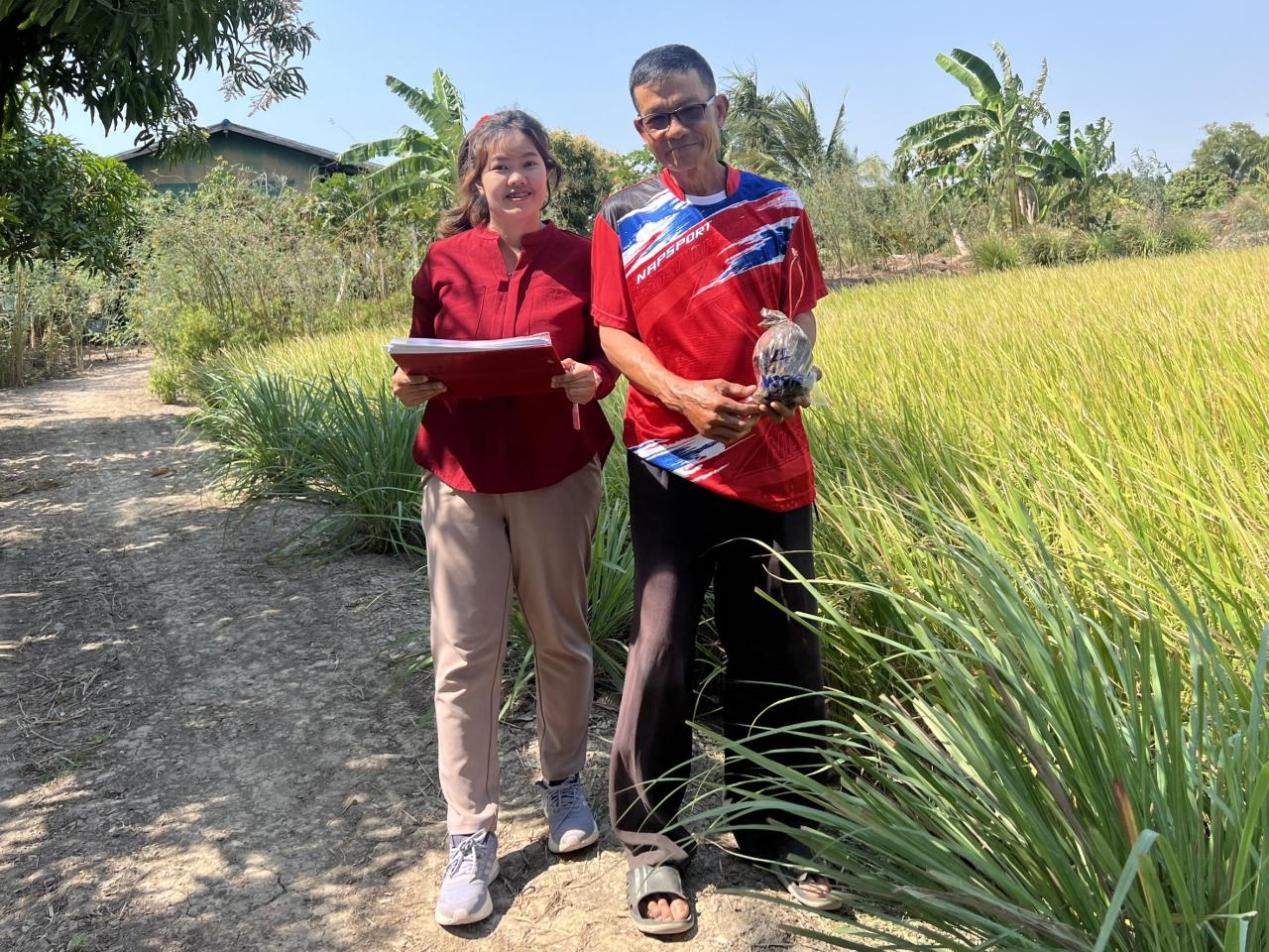 ภาพประกอบที่ 2