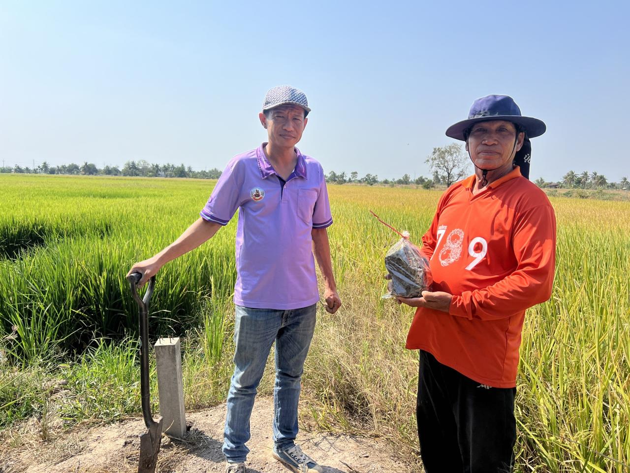 ภาพประกอบที่ 3