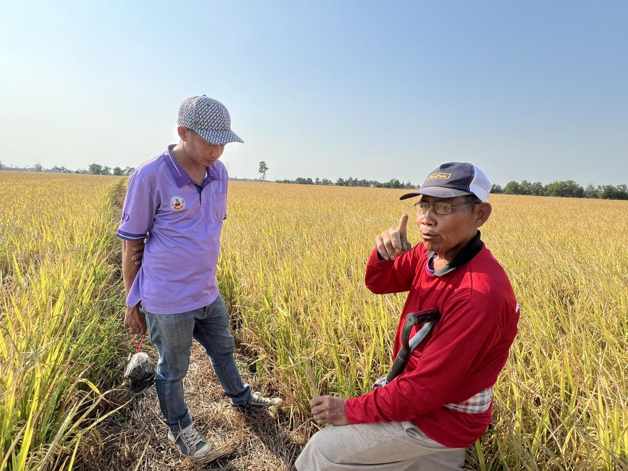 ภาพประกอบที่ 8