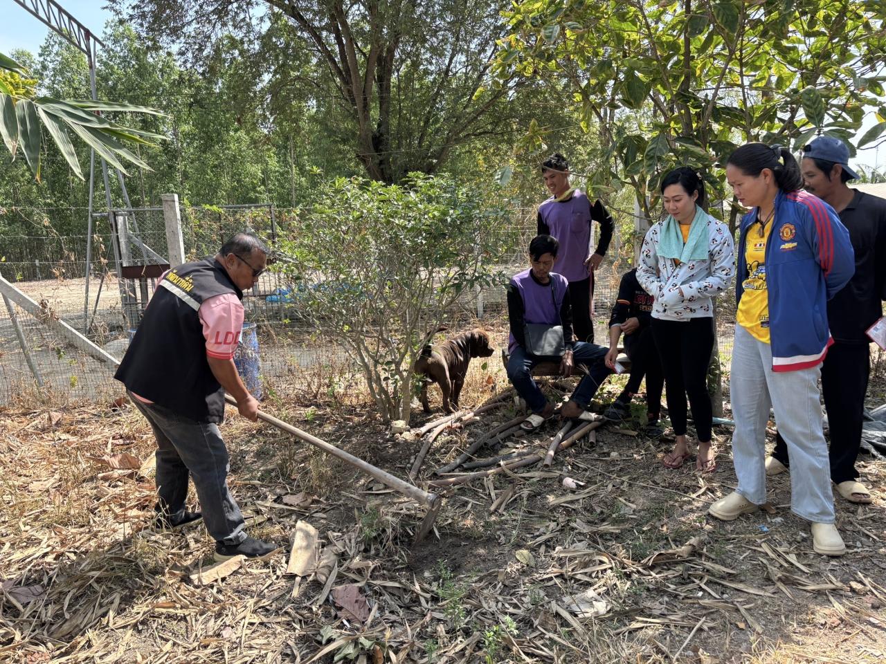 ภาพประกอบที่ 12