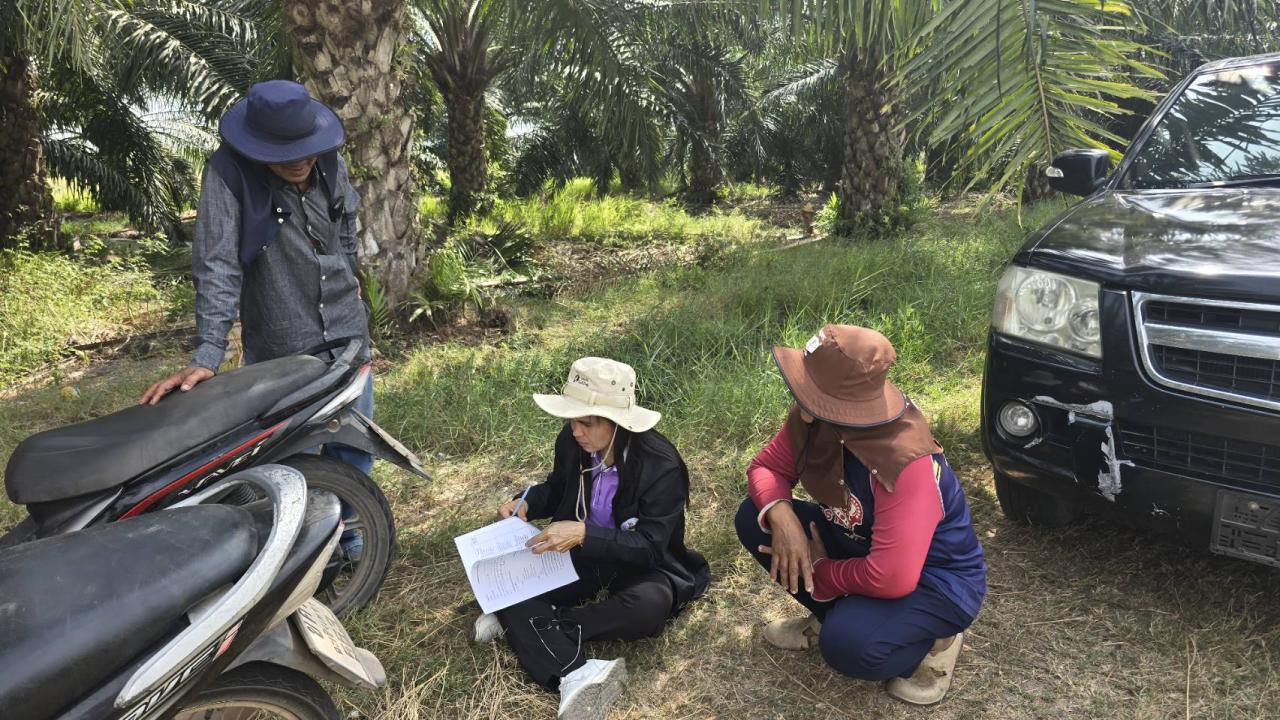 ภาพประกอบที่ 1