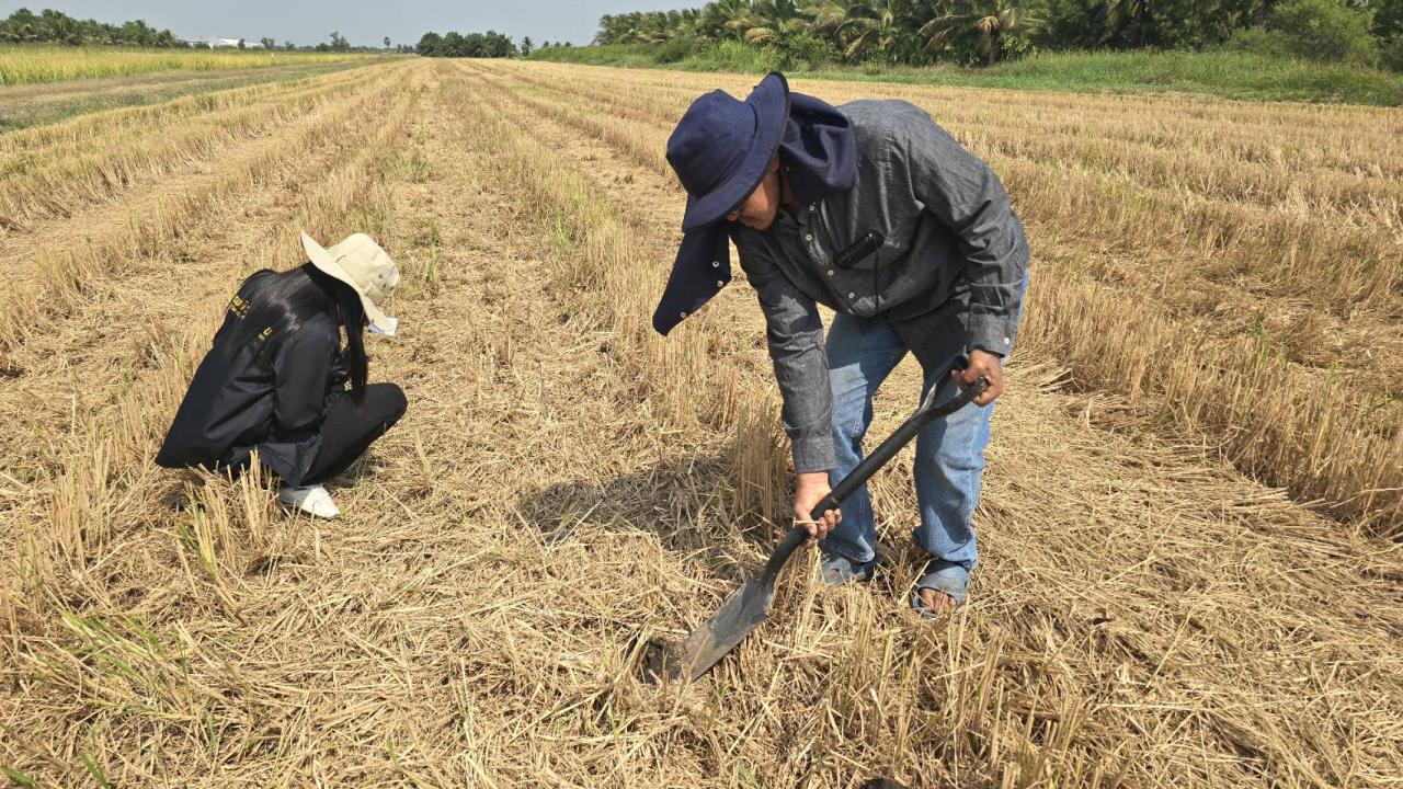 ภาพประกอบที่ 2