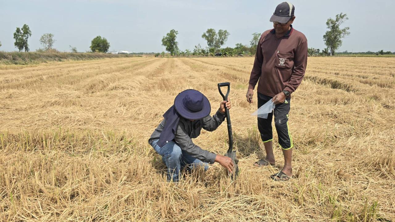 ภาพประกอบที่ 4