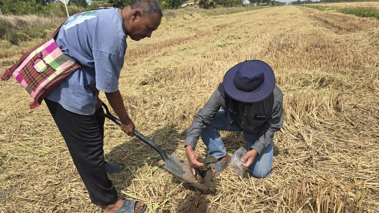 ภาพประกอบที่ 5
