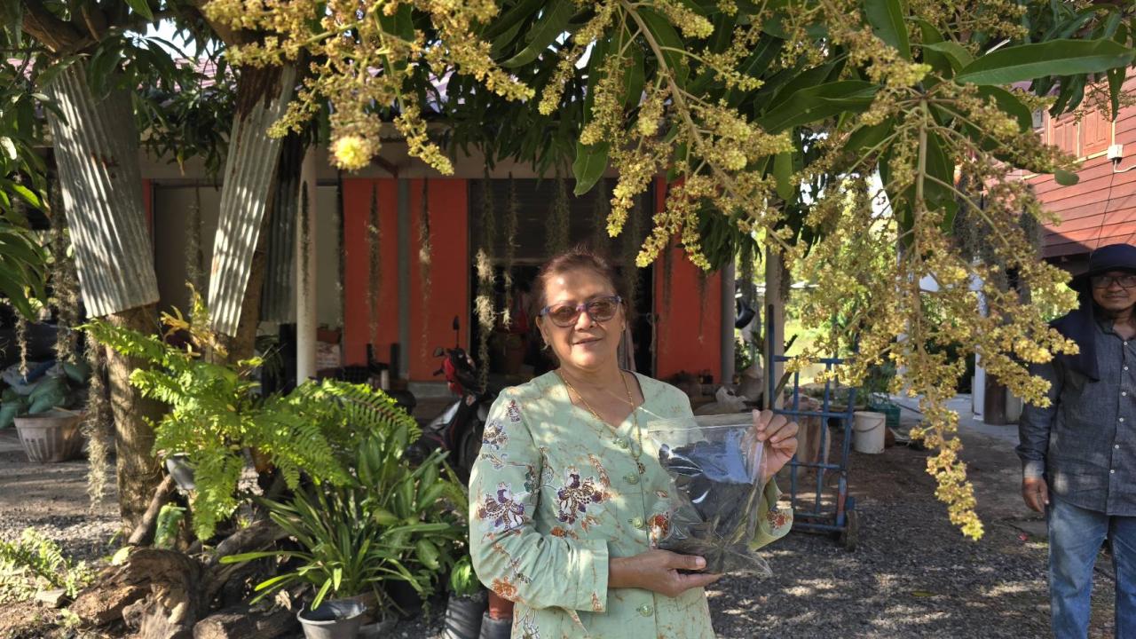 ภาพประกอบที่ 7