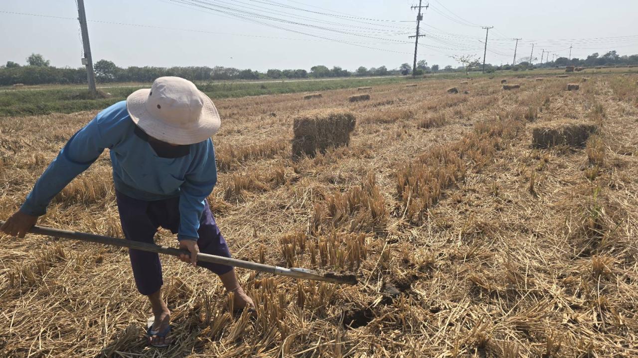 ภาพประกอบที่ 1