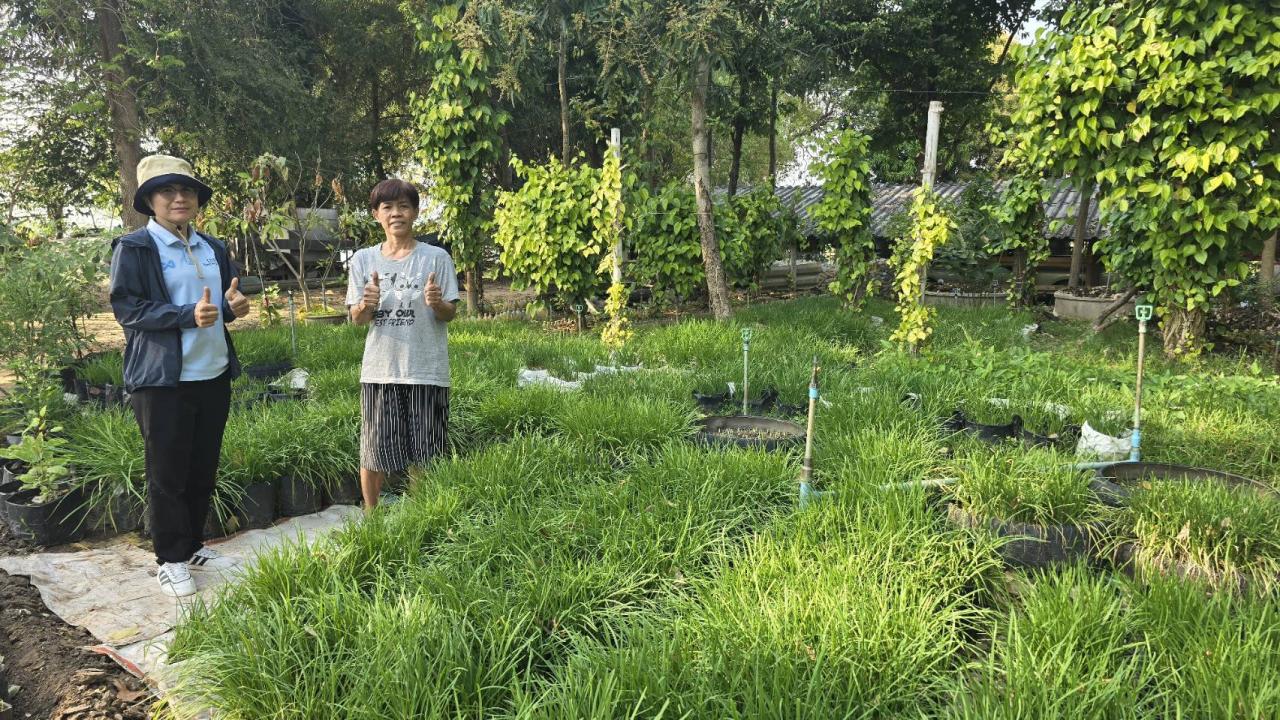 ภาพประกอบที่ 6