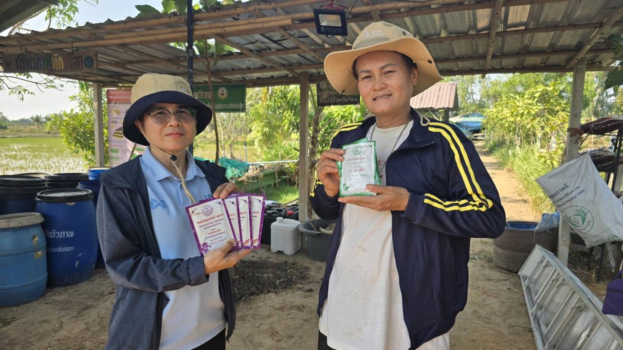 ภาพประกอบที่ 7