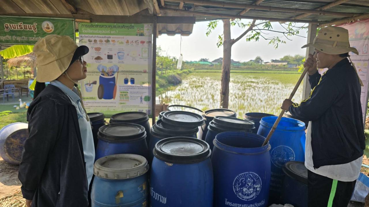 ภาพประกอบที่ 8