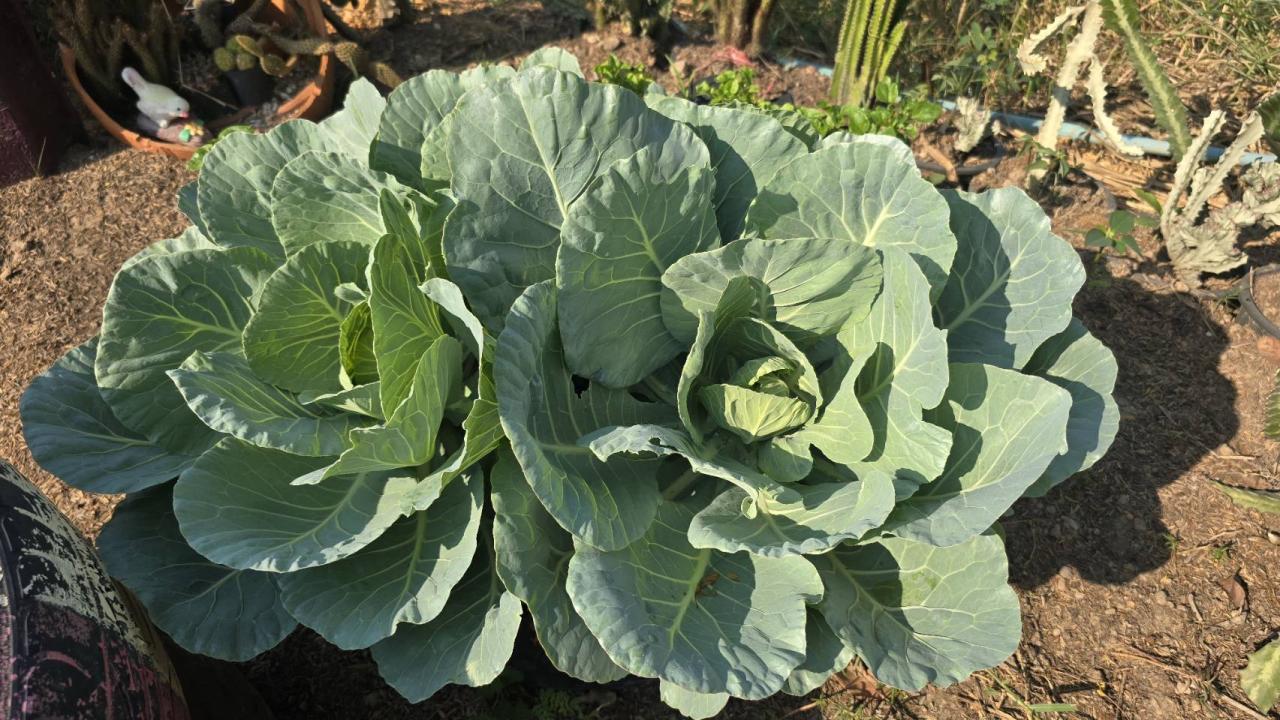 ภาพประกอบที่ 10