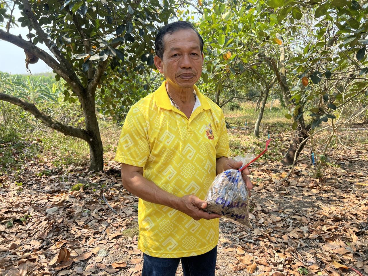 ภาพประกอบที่ 1