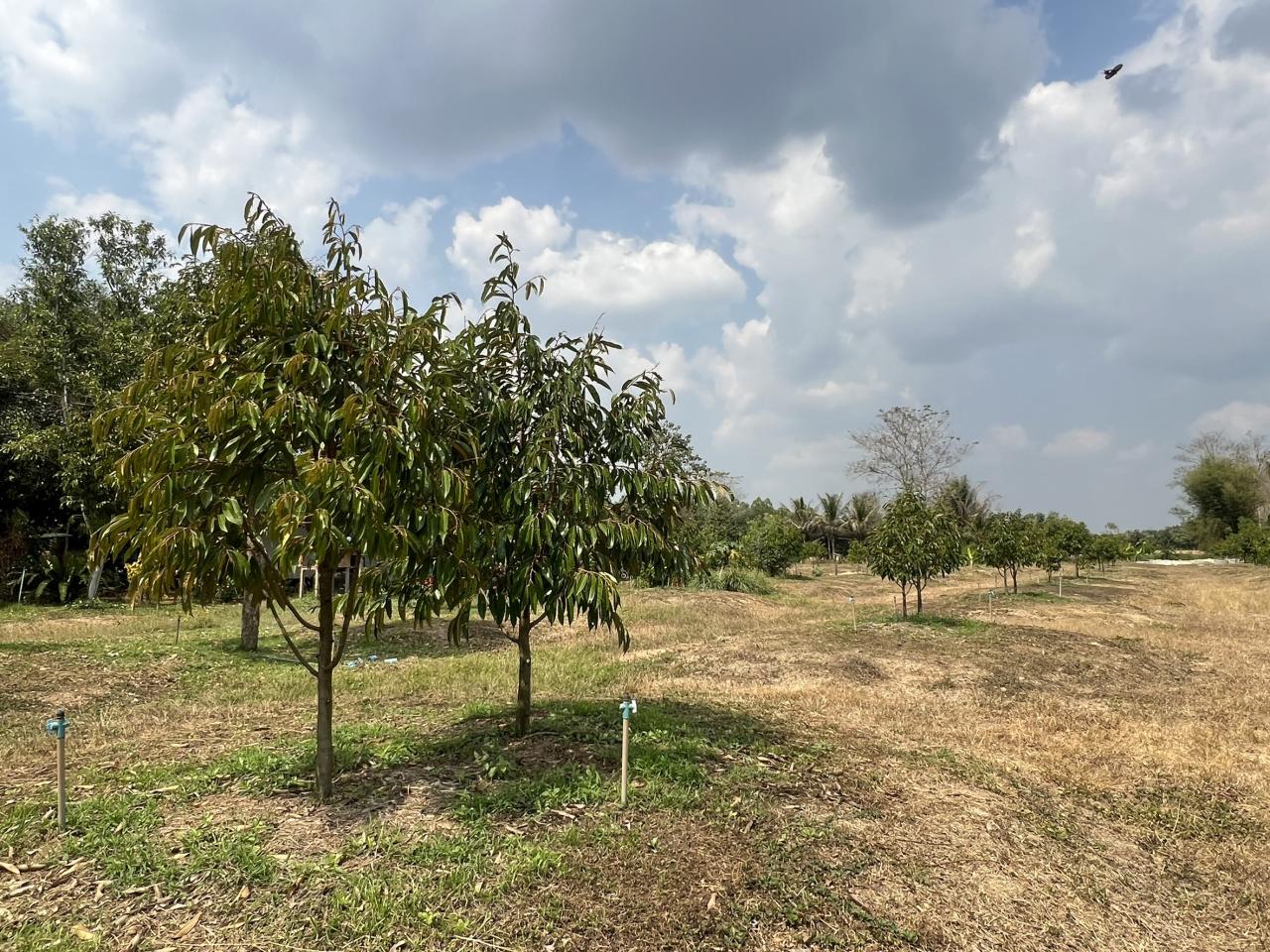 ภาพประกอบที่ 7