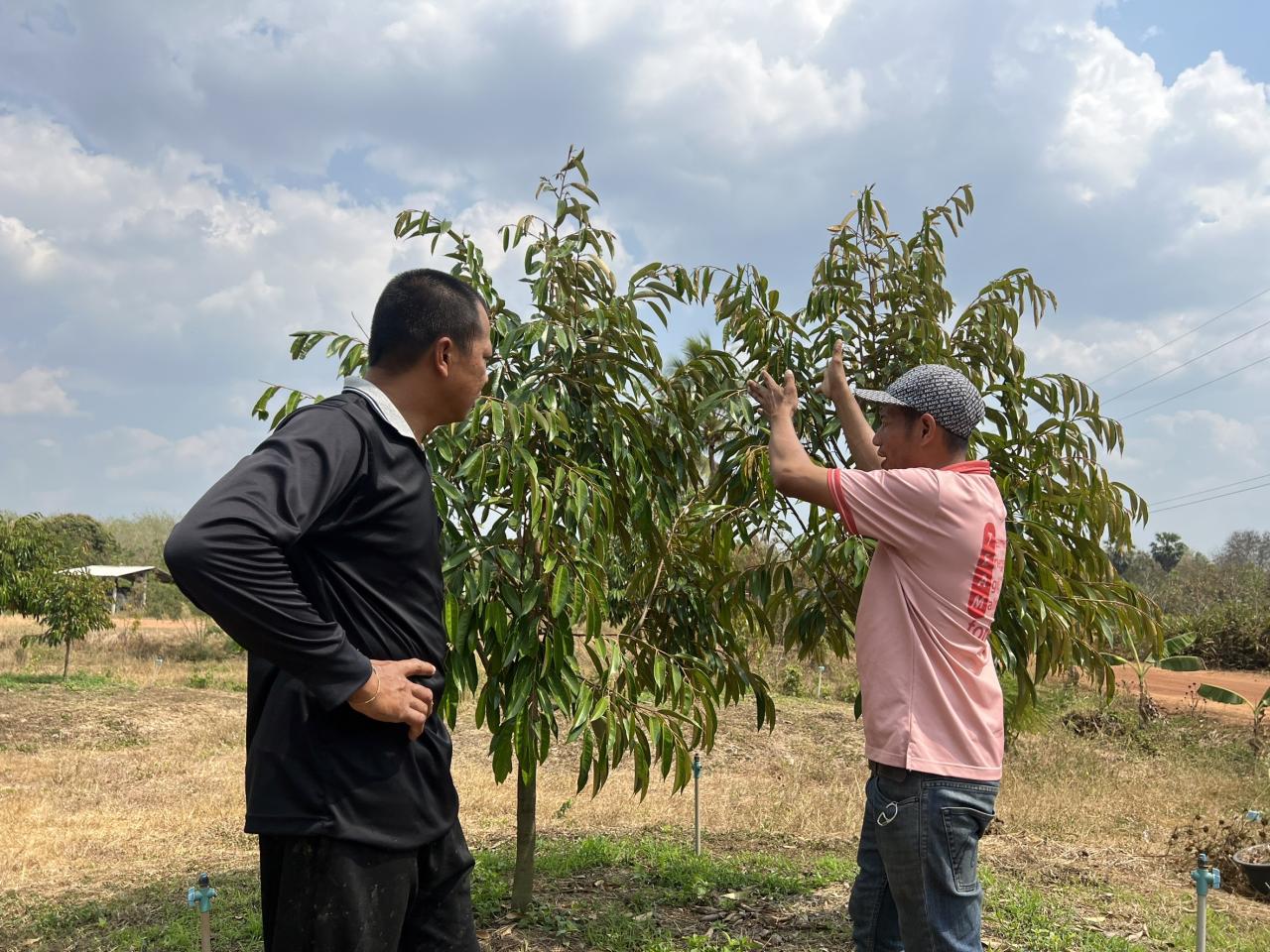 ภาพประกอบที่ 8