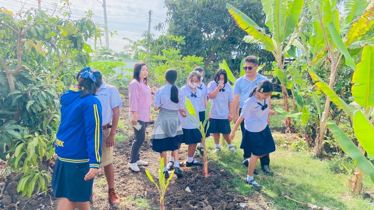 ภาพประกอบที่ 5