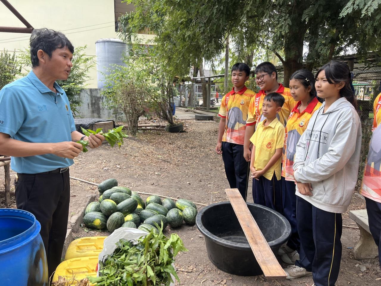 ภาพประกอบที่ 1