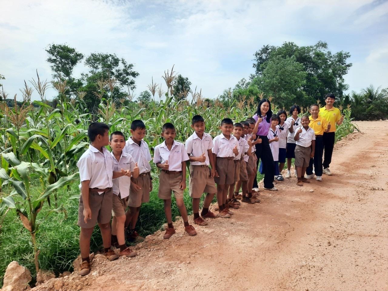 ภาพประกอบที่ 2