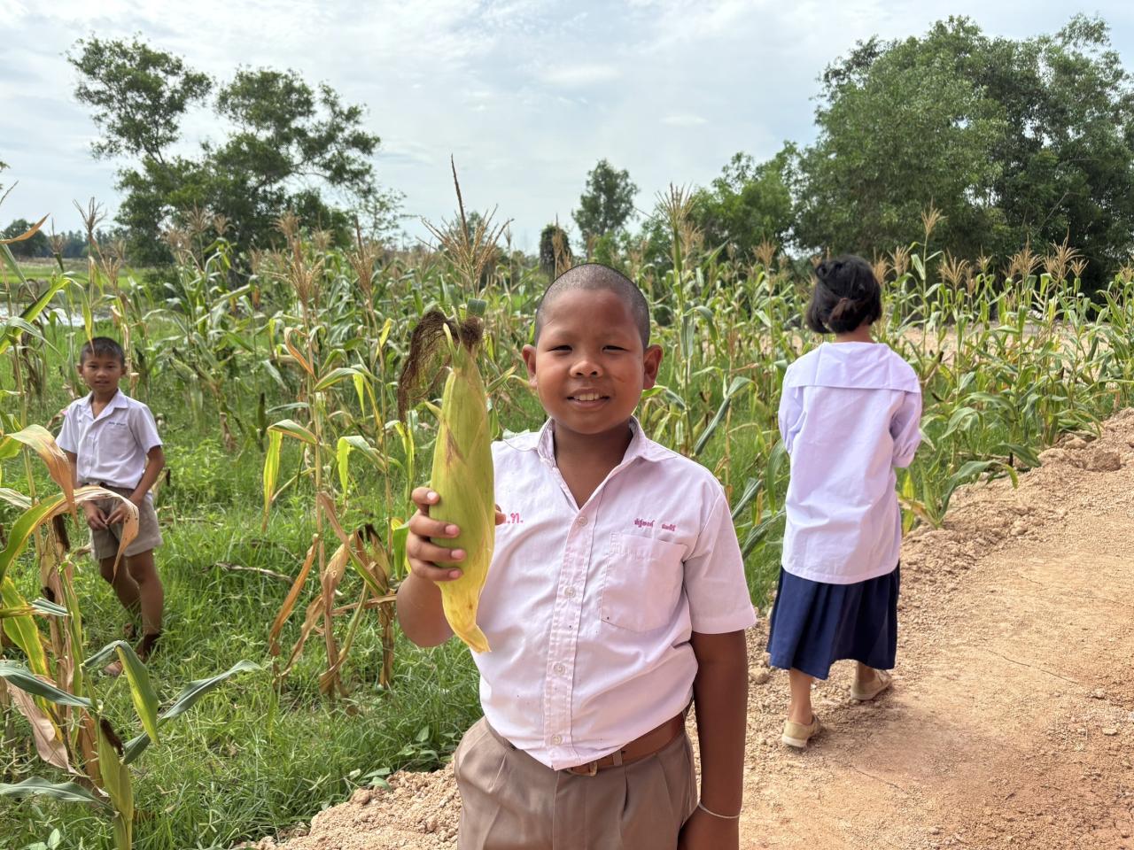 ภาพประกอบที่ 5