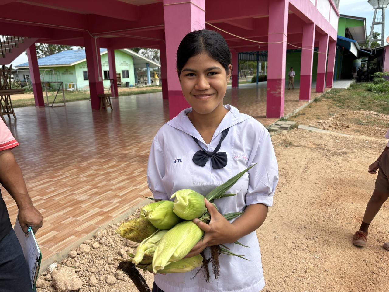 ภาพประกอบที่ 6