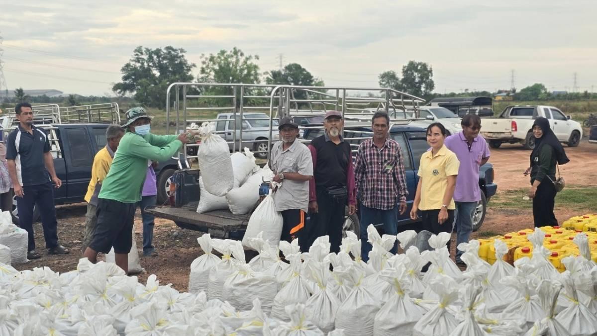 ภาพประกอบที่ 2