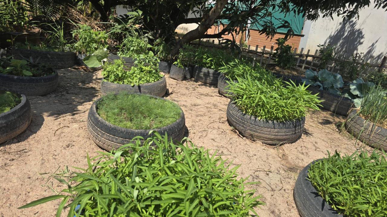 ภาพประกอบที่ 6