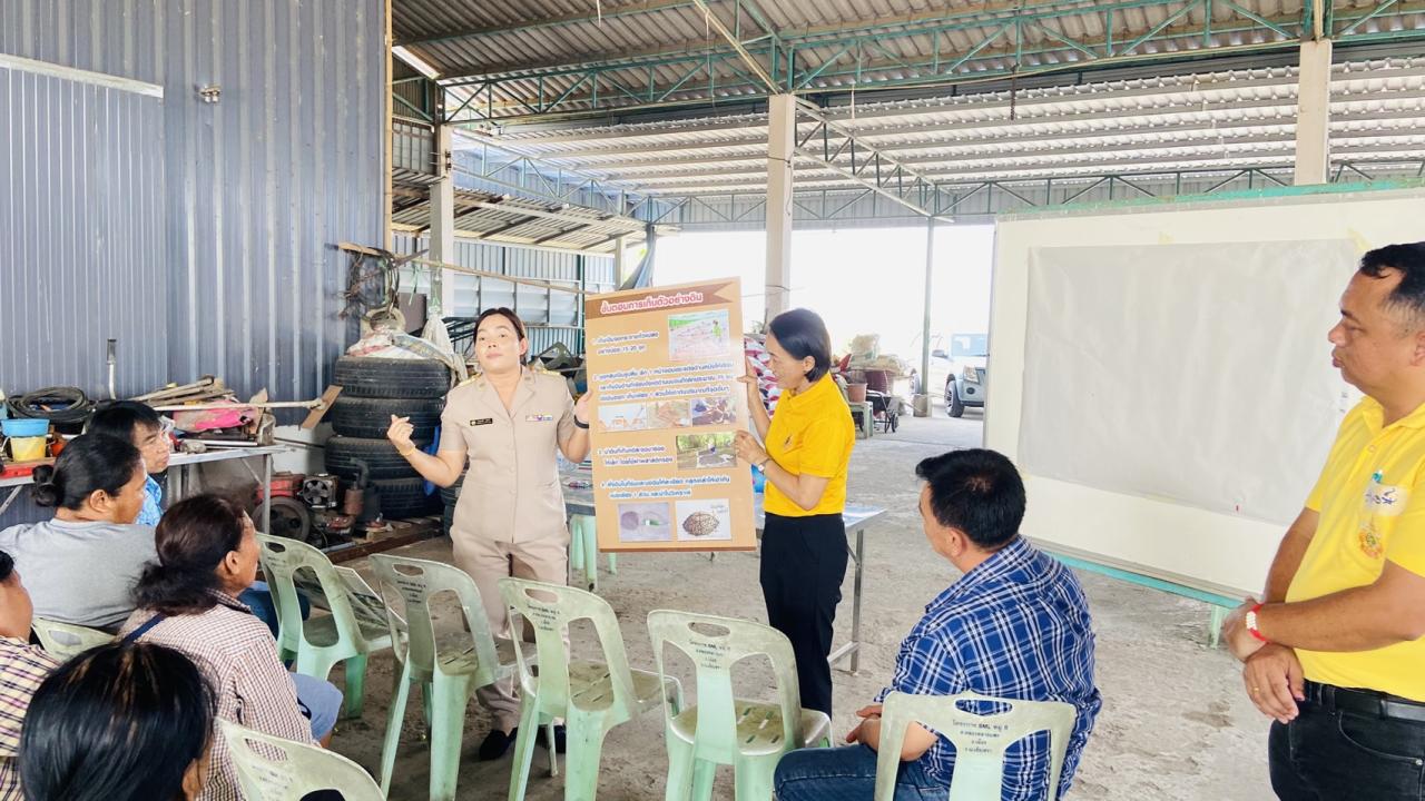 ภาพประกอบที่ 1