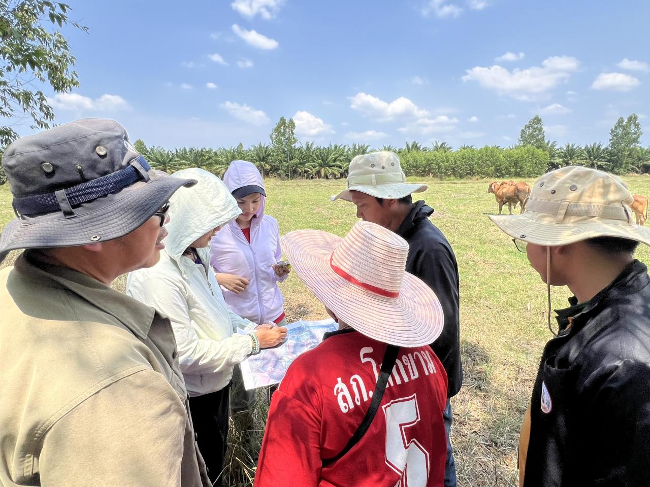 ภาพประกอบที่ 4
