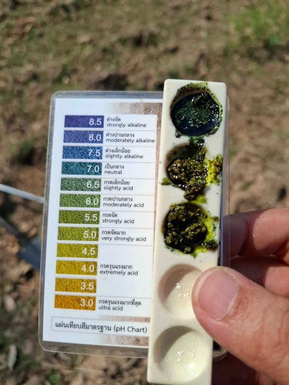 ภาพประกอบที่ 11