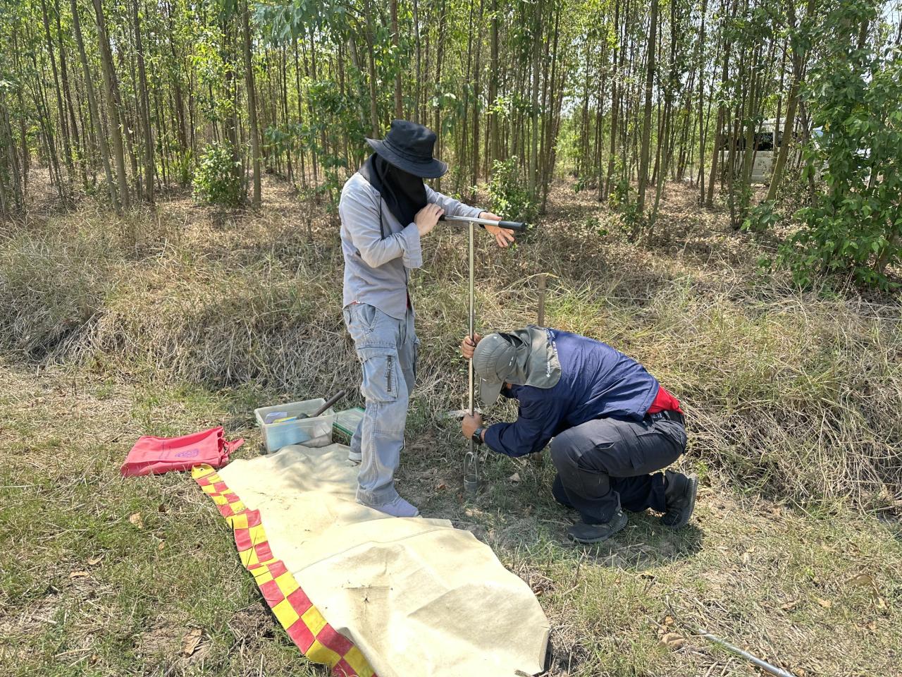 ภาพประกอบที่ 12